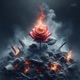 Ashes Single