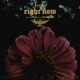 Right Now feat Mann Single