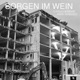 Sorgen im Wein feat Flippa Single