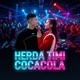 HERDA TIMI COCACOLA feat sujan khadka Bimala Gurung Single