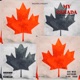 My Canada Stoners Anthem feat Black Sugar Baby hawn Duke Wood Single