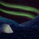 Boreal Nights