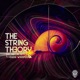 The Strings Theory Single