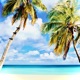 Beachouse Single