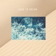 Dare to Dream EP