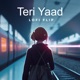 Teri Yaad Lofi Flip Single