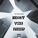 What You Need Single