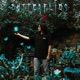 Butterflies Single