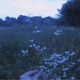 dusk Single
