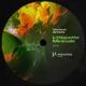 Tree of Questions Single