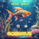 Aquarius feat Zarahfly Single