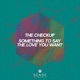 Something to Say The Love You Want Single