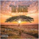 The Jungle feat Jdx Single