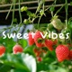 Sweet Vibes Single