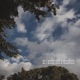 So I Guess This Is Goodbye Single