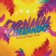 Carnaval Chegando Single