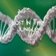 Lost in the Jungle Single