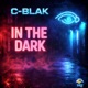 In The Dark Single