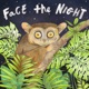 Face the Night Single