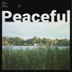 Peaceful Single