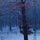 Cold Winter Single
