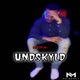 UNDSKYLD Single