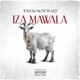 Iza Mawala feat Dladla Mshunqisi Single