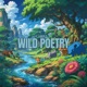 Wild poetry Single