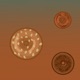 Bagels for Dagels Vol VIII
