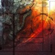 Fear of a Ruff Planet 3 Single Archive 4 Single