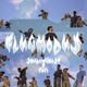 Flugmodus Single