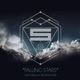 Falling Stars feat Nikolay Prokopchuk Single