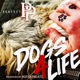Dogs 4 Life feat Bofaatbeatz Single