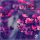 Divinity EP