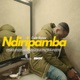 Ndiripamba Single