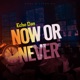 Now or Never Single