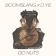 Go Nuts feat Dye Single