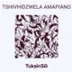 Tshivhidzwela Amapiano Single
