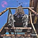 RunAway Single