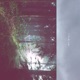 Lead Me Home with J Steph Single
