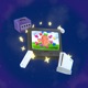 Nintendo Single