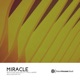 Miracle feat Max Landry Single