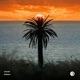 Believer Single