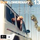 Sunflower Diary feat Mushkilla Single