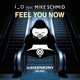 Feel You Now feat Mike Schmid Single