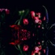 What s on Your Mind Darkways Remix Single