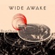 Wide Awake Single