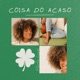 Coisa Do Acaso Single