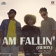 AM FALLIN Blue Firefly Remix Single