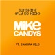Sunshine Fly So High feat Sandra Wild Remixes Single